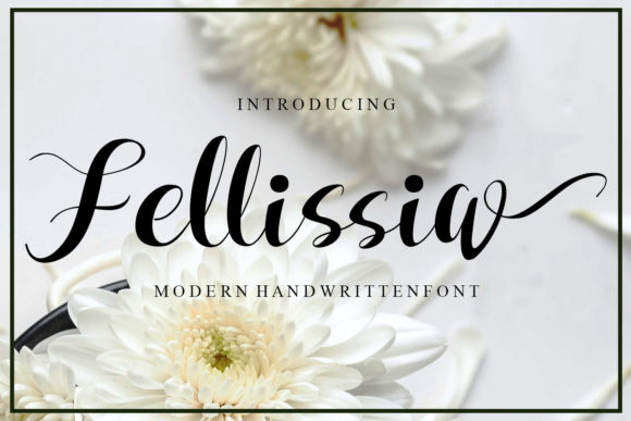 Fellissia: A Strategic Choice for Modern Design