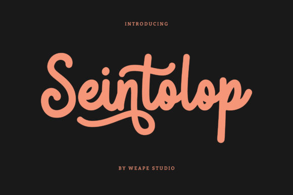 Seintolop: A Handwritten Touch for Every Design Need